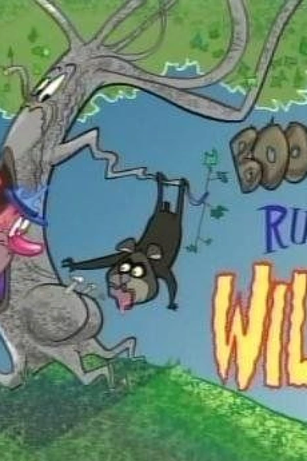 Boo Boo Runs Wild Poster