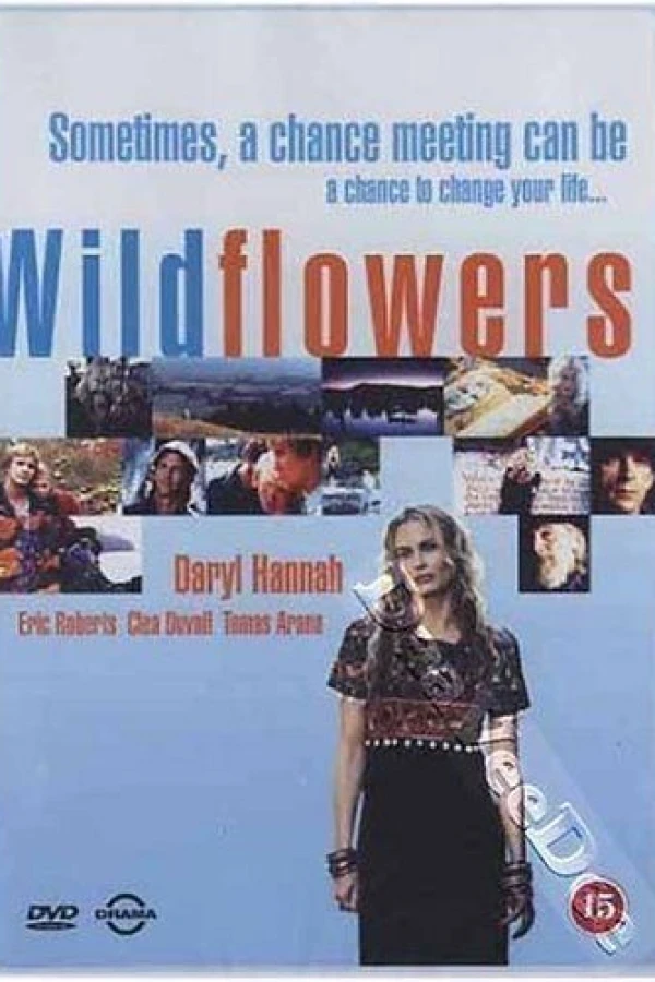 Wildflowers Poster