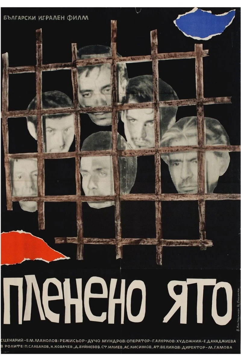 Captive Flock Poster