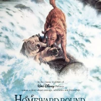 Homeward Bound: The Incredible Journey