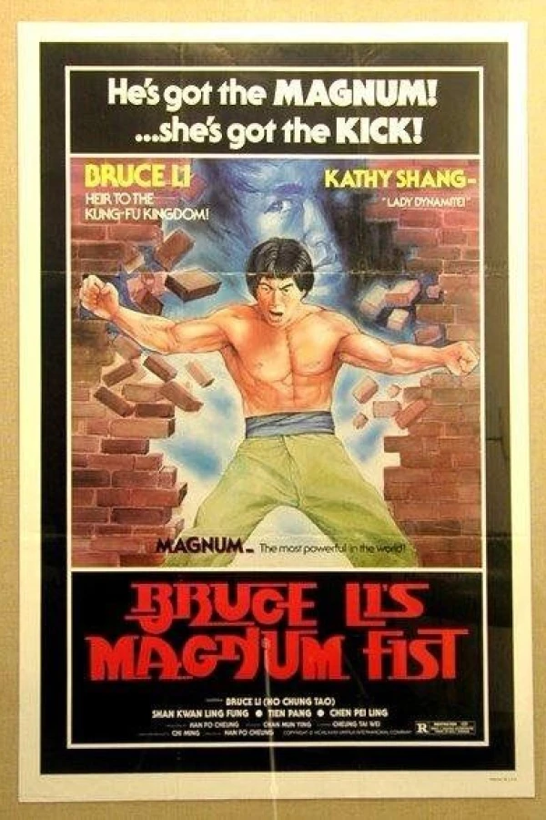 Bruce Li's Magnum Fist Poster