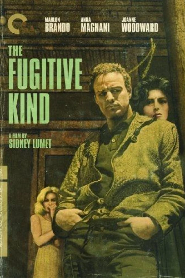 The Fugitive Kind Poster