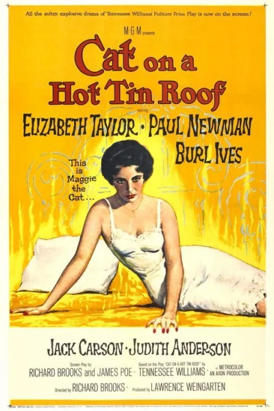 Cat On a Hot Tin Roof