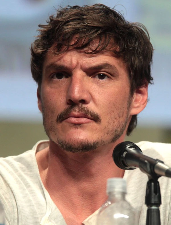 <strong>Pedro Pascal</strong>. Image by Gage Skidmore.