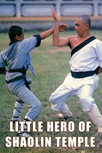 The Little Hero of Shaolin Temple