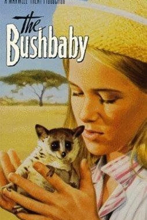 The Bushbaby Poster