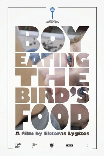 Boy Eating the Bird's Food