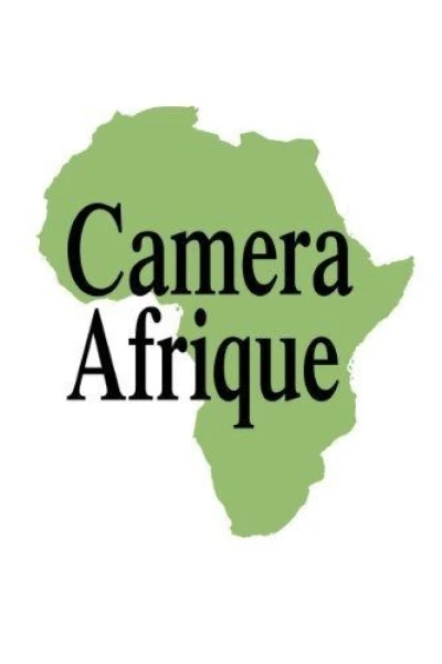 Twenty Years of African Cinema