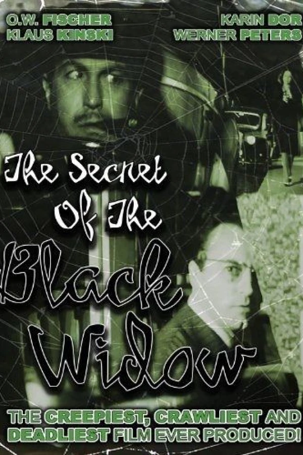 Das Geheimnis der schwarzen Witwe Poster