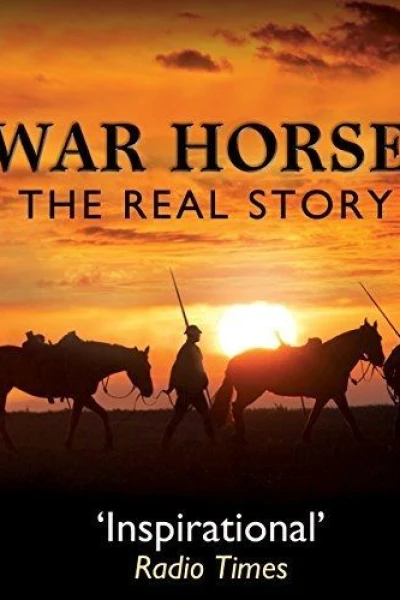 War Horse: The Real Story