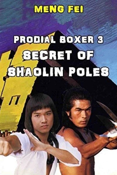 Secret of the Shaolin Poles