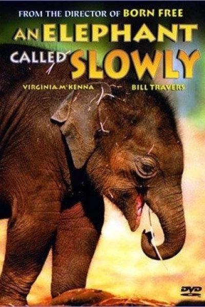 An Elephant Called Slowly