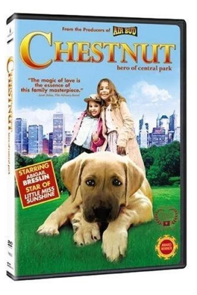 Chestnut: Hero of Central Park